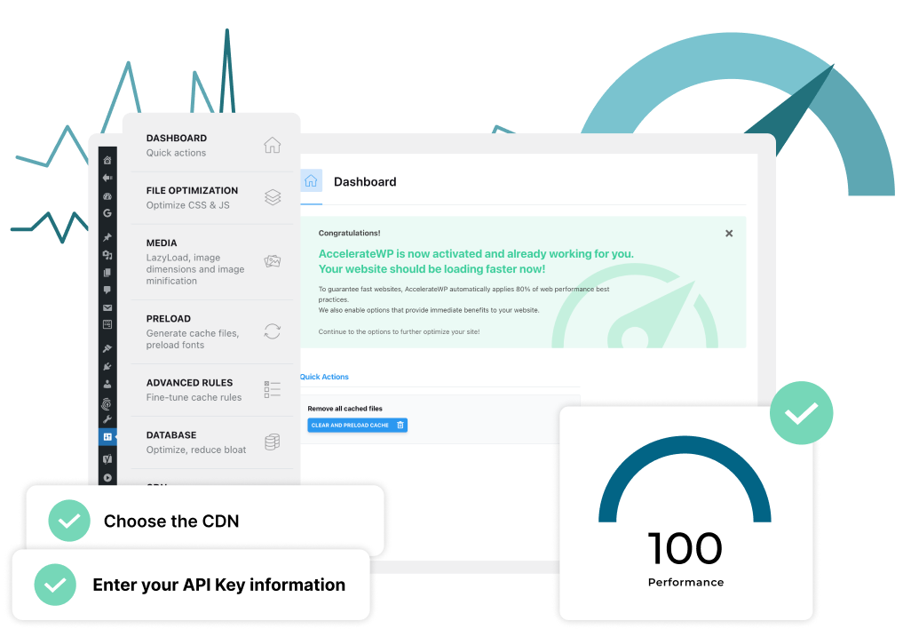 AccelerateWP performance optimization with 100/100 score and CDN integration